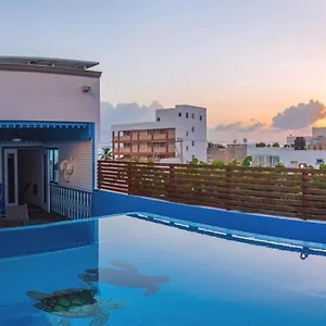 Casa Barco Boutique , Isla Mujeres México